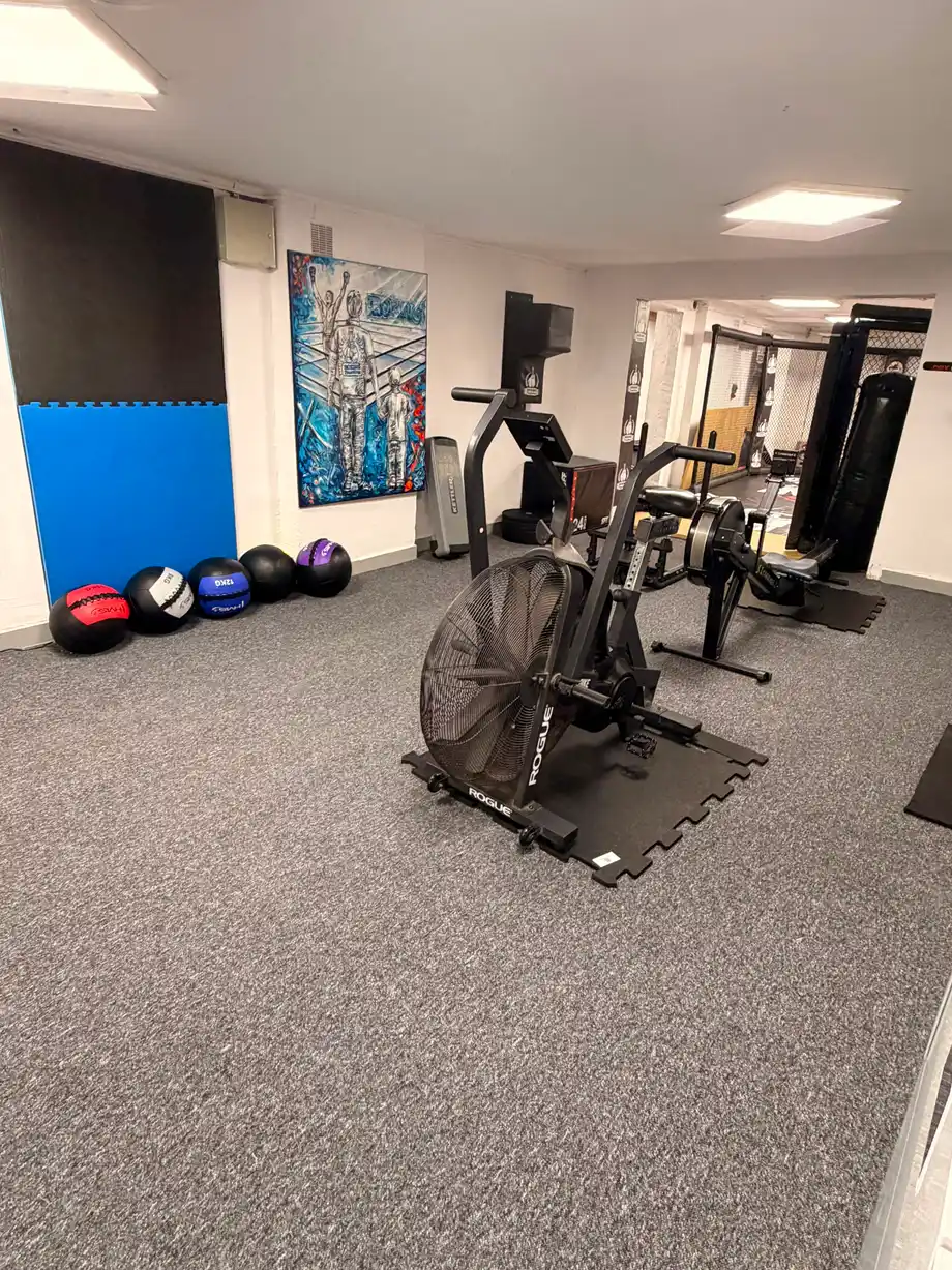 Rower powietrzny i piłki lekarskie